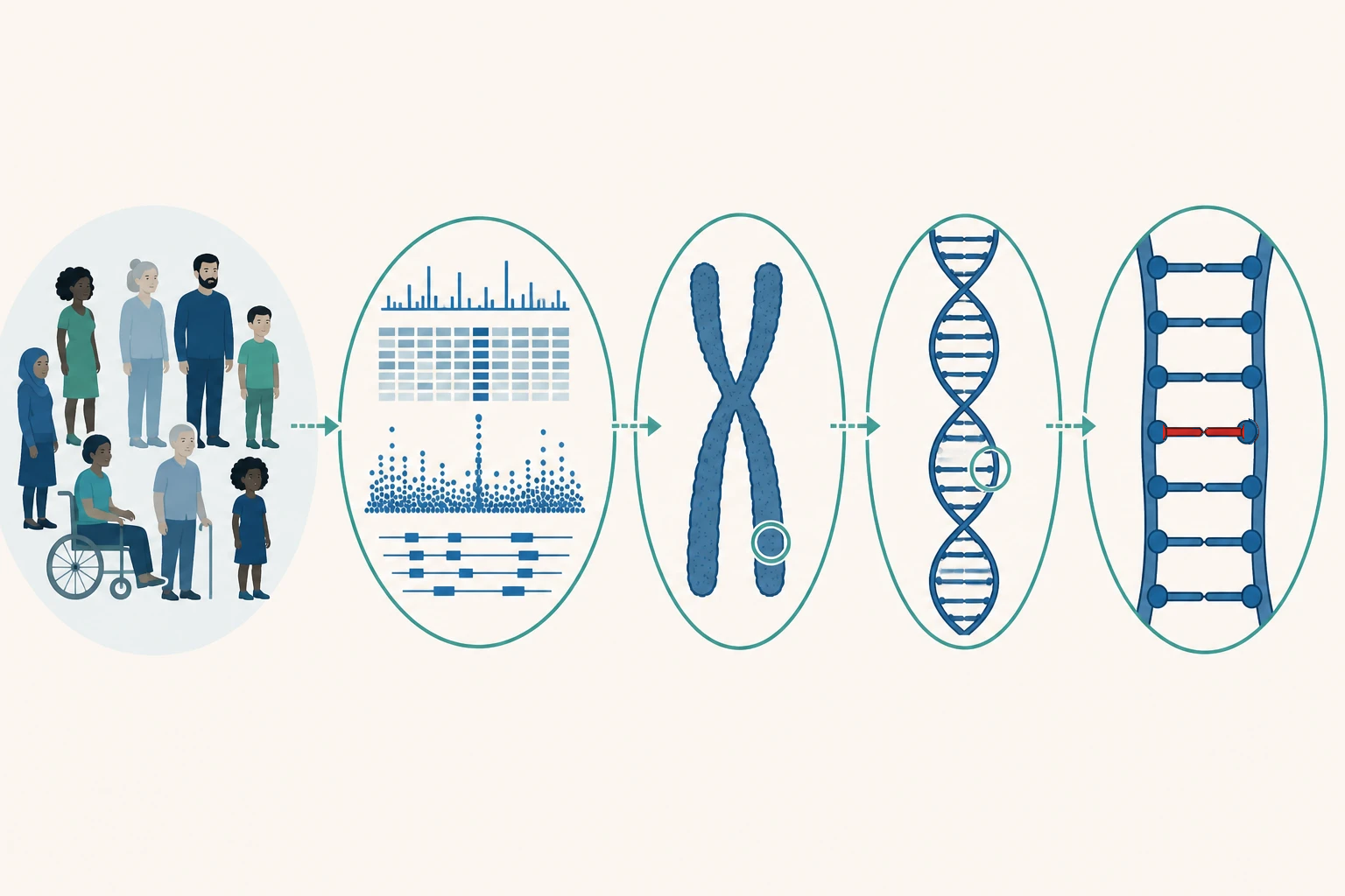 Pinpoint the target gene