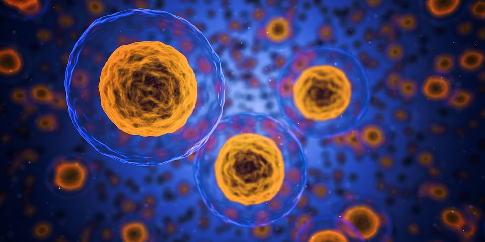 Gene editing powers intelligent nucleic acid hydrogels: latest results from Shanghai Jiao Tong University School of Medicine