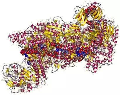 PNAS: a new SaCas9-HF variant improves CRISPR-Cas9 gene editing precision