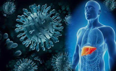 Exosome-mediated intercellular delivery of CRISPR/Cas9 targeting the hepatitis B virus genome