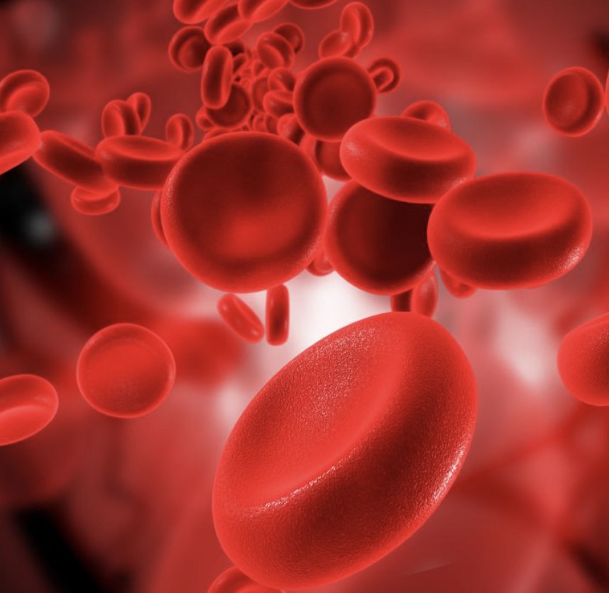 Breakthrough: China's gene editing technology successfully treats adult severe thalassemia