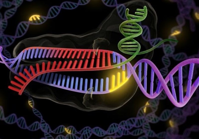 AI plus gene editing: how this company successfully treated adult thalassemia