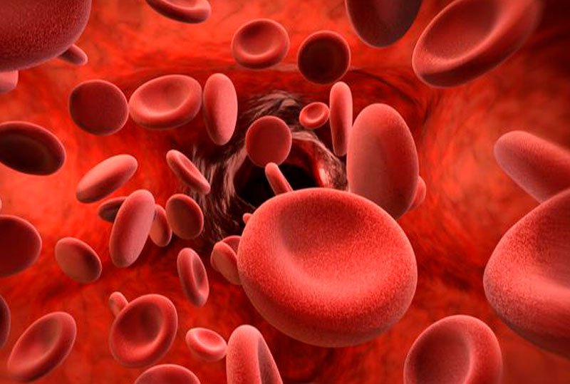 CDE accepts IND application for Reforgene's novel-target thalassemia gene editing medicine