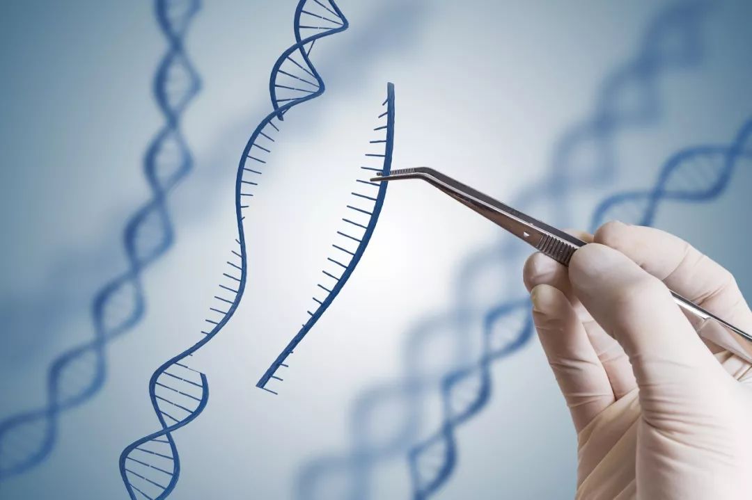 Guangdong Development and Reform Commission delegation visits Reforgene