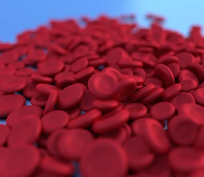Reforgene reports Phase I progress for its thalassemia gene editing drug RM001