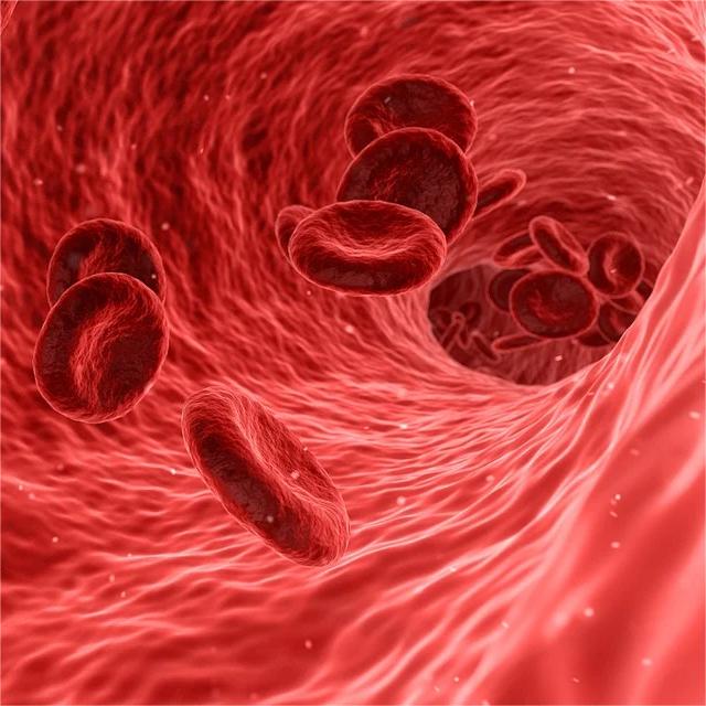 Reforgene completes dosing of all patients in the Phase I trial of its thalassemia gene editing drug RM001