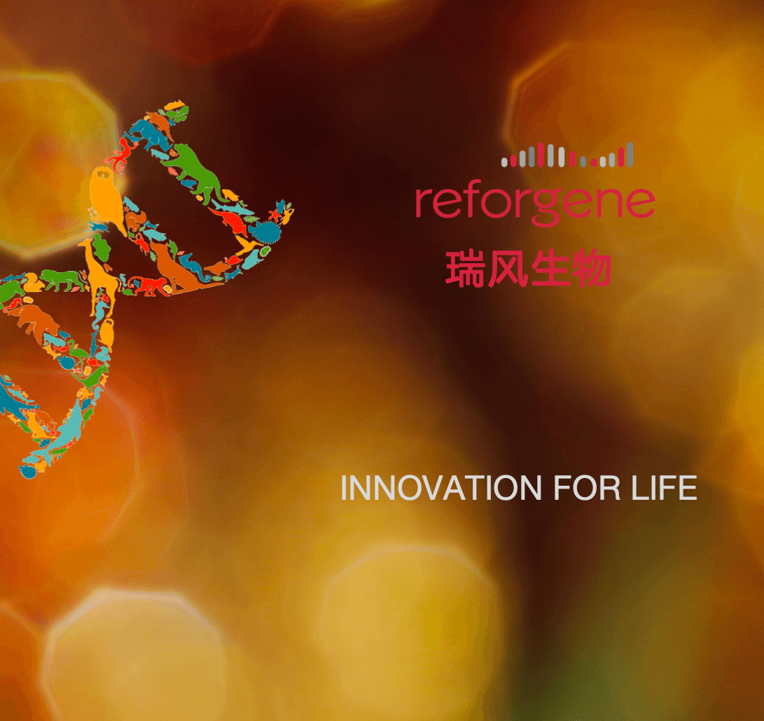 Reforgene raises hundreds of millions of RMB in a new financing round to advance gene editing drug development